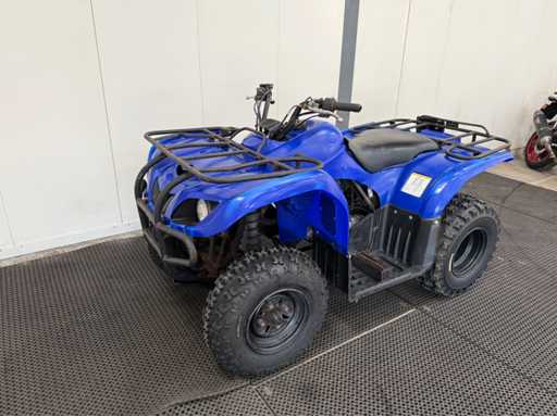 Yamaha - Quad - 2010