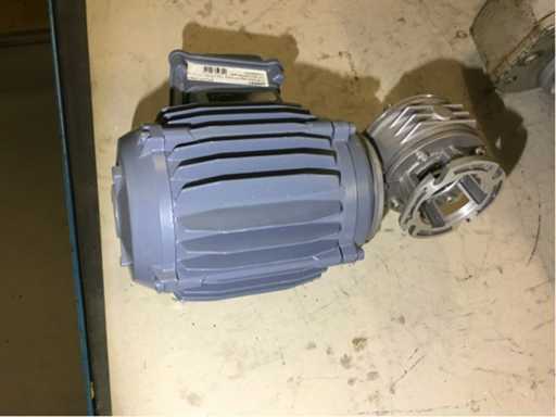 Rotary Field Magnet Motors with Gearbox (PL/A/24)