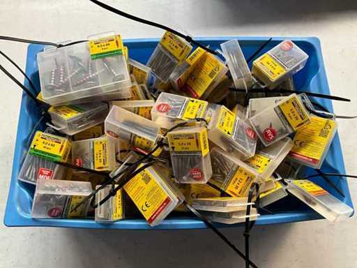 Rotadrill Verschiedene Schrauben aus Edelstahl, verzinkt und Messing in Blase (100x)