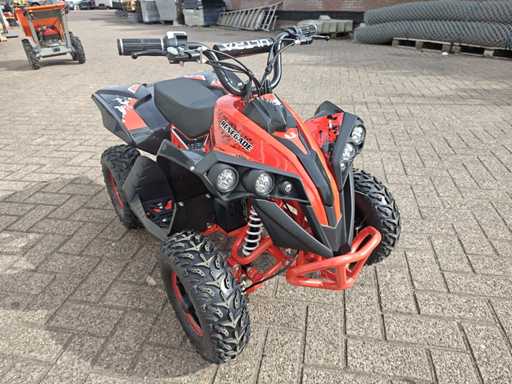 Quad For Kids 1000Watt