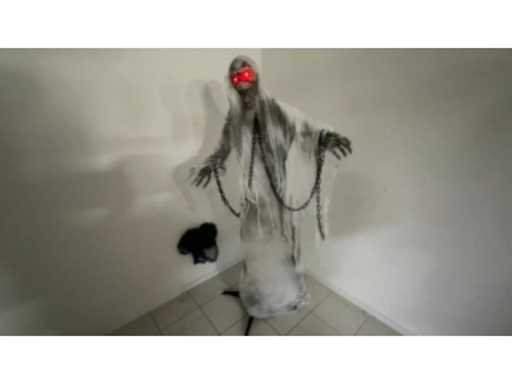 52c34a6f-4e9c-4222-a39a-01ccc181676e.mp4