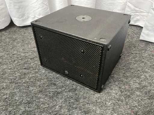 AD Picosub Speaker (2x)