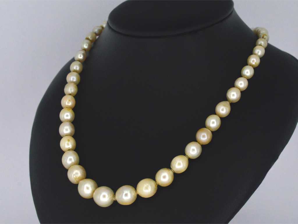 Pearl necklace with a yellow gold clasp