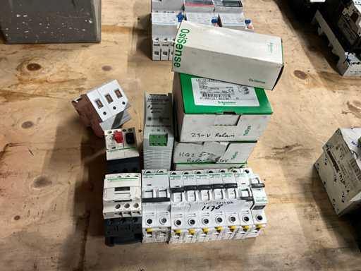 Schneider Electric Elektra componenten