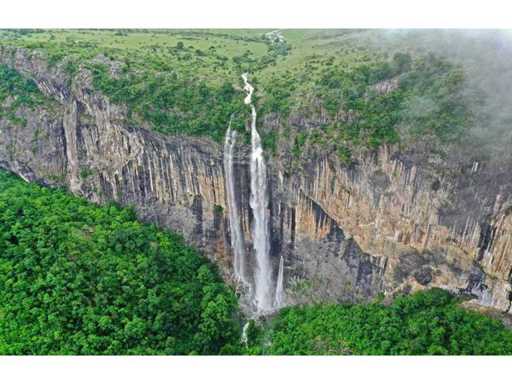 113.324 m² of deciduous forest in Gorno Ozirovo, Varshets Montana - Bulgaria
