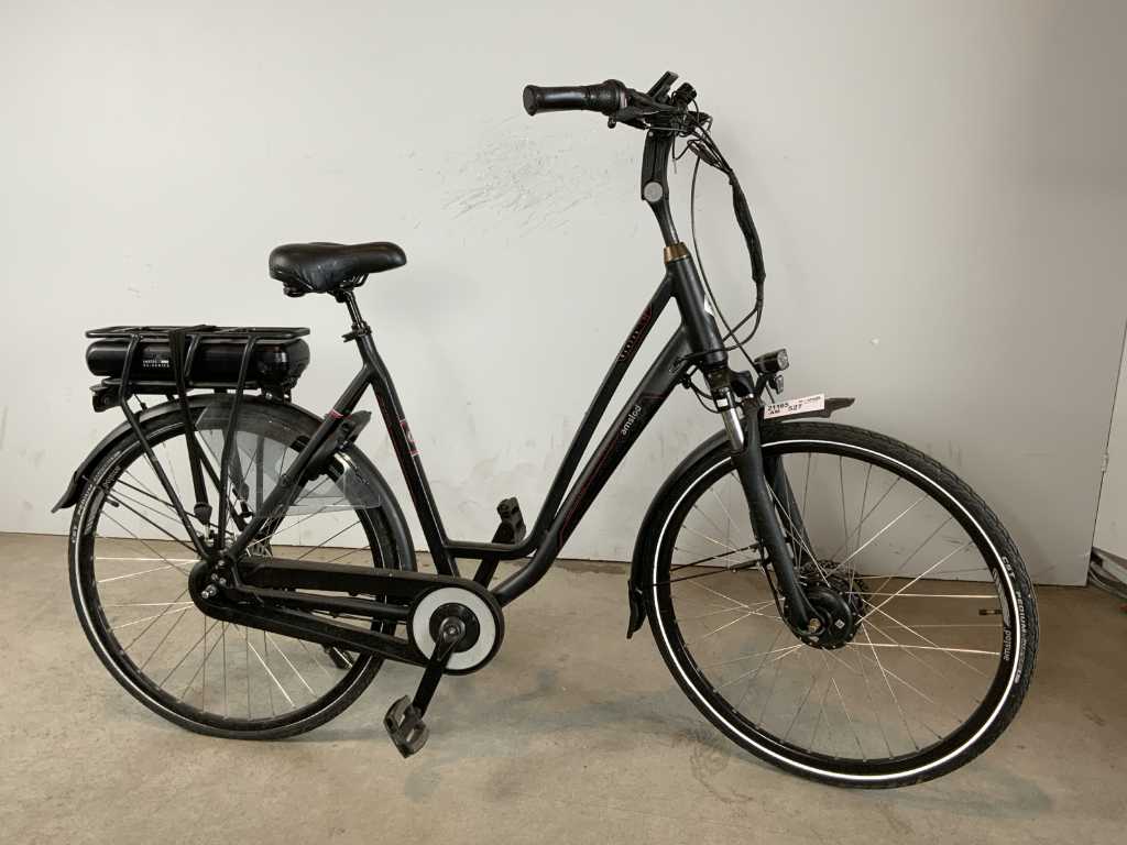 Bicicletta elettrica Amslod Newton LRX