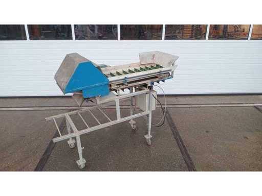 Maszyna do cięcia marchew