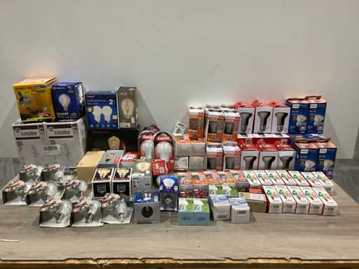 Partij Lampen pitten (89x)