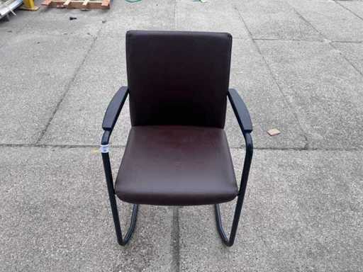 Sitzungsvorsitzender (4x)