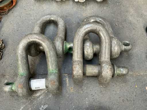 SWL 55T D Chiusura a occhio sollevabile (4x) 55 tonnellate