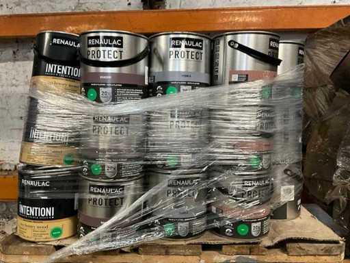 Renaulac/Utomhus Verf (50x)