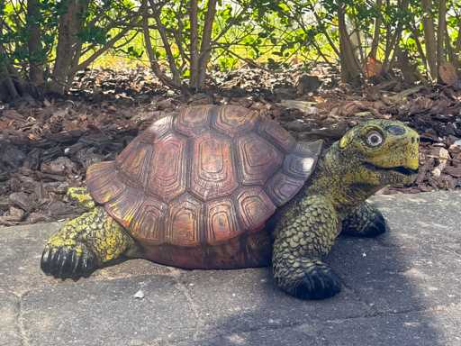 Turtle / Schildpad L60cm Original