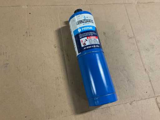 Bouteille de propane Bernzomatic (12x)