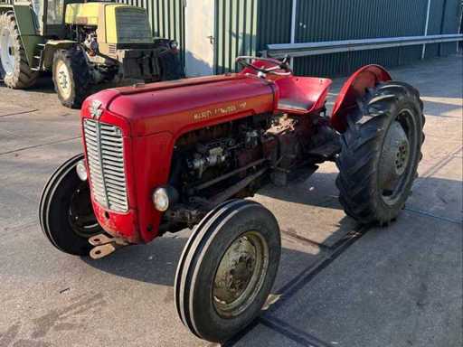 1960 massey ferguson 35 Oldtimer tractor