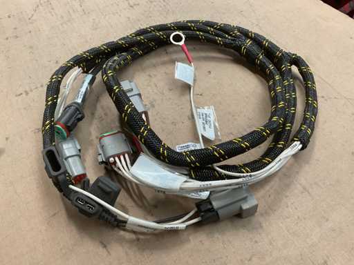 Wiring harness (2x)