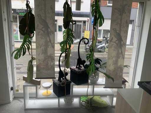 Série de blocs de présentation et décorations