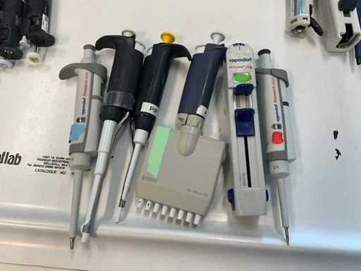 Various pipettes (6x)