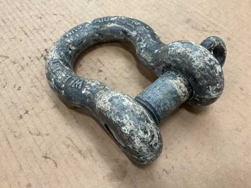 Shackle (3x)