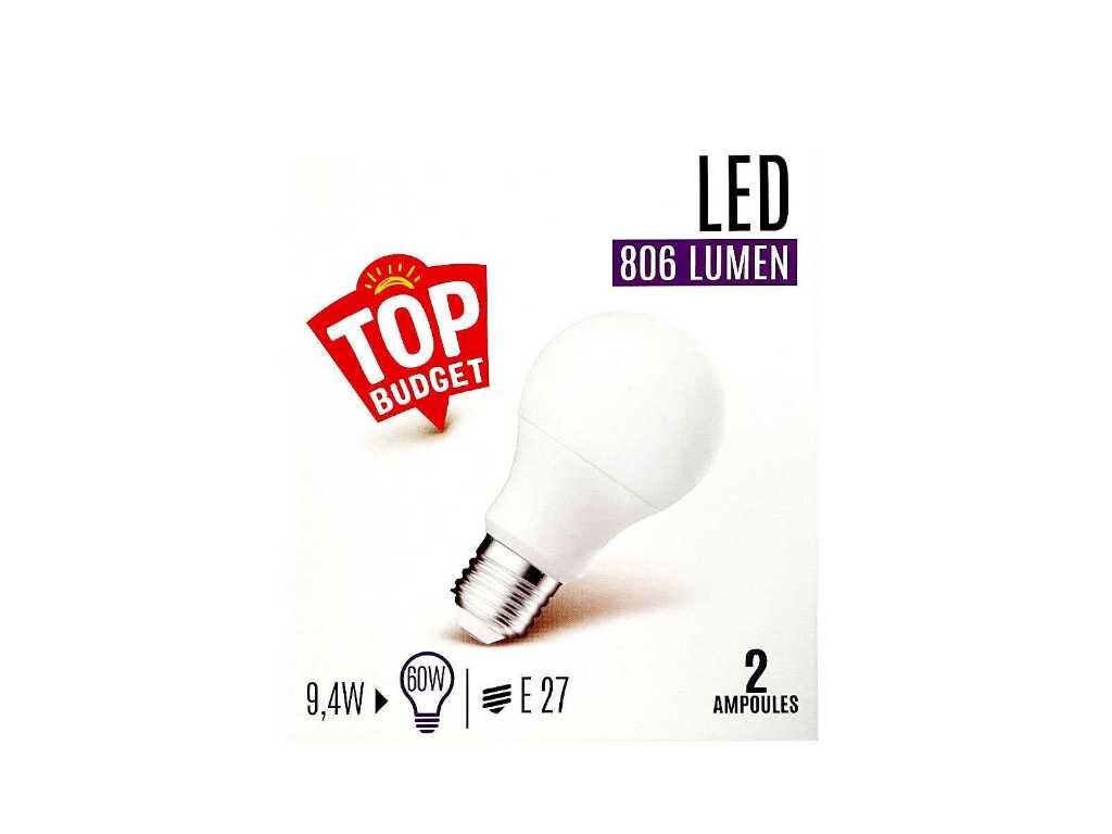 Lot de 2 ampoules LED standard mates E27 (300x)