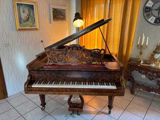 Pian mare Collard & Collard & Collard