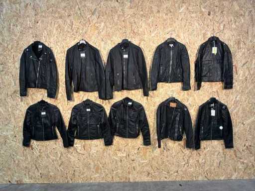 Goose-craft Leren Jassen (10x)