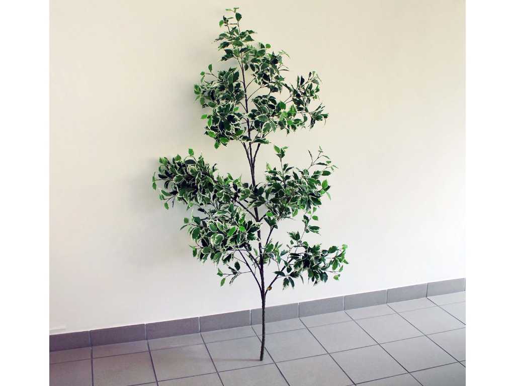 2 Pieces Ficus Nitida Height 160cm Decorative Plant - Artificial Plant - Office - Gastronomy - Waiting Room - Gastrodiscount