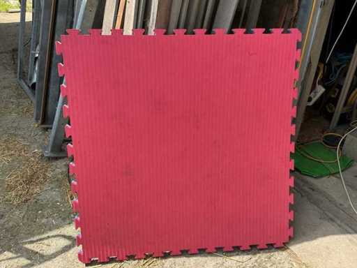 Tapis d’automne (6x)