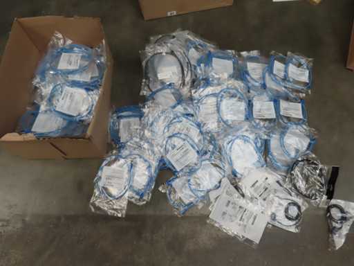 Câbles du Parti (UTP)