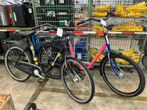 Damenrad (2x)
