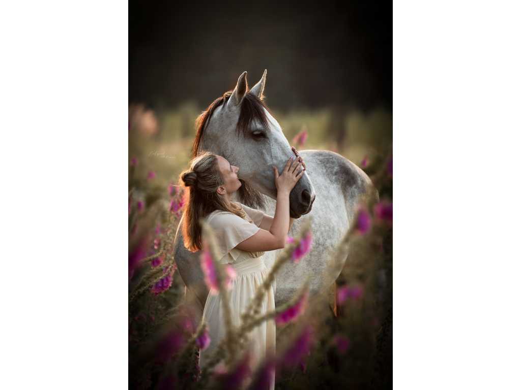 Photoshoot of or with your four-legged friend (dog or horse)