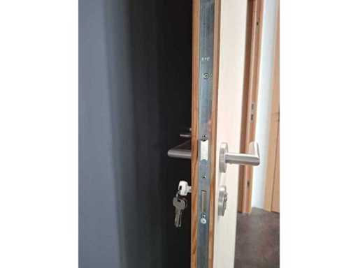 5 Fire-resistant + burglar-retardant painting door units
