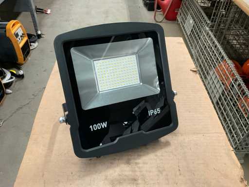 Fluxon LB100F Flutlicht