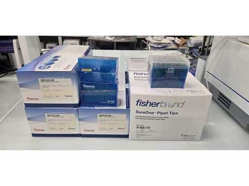 THERMO - Barrier Pipette Tips