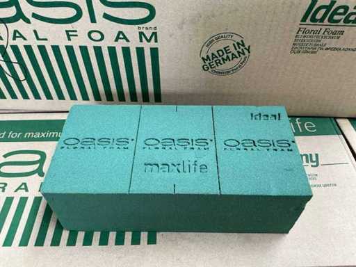 Partij Oasis Floral Foam maxlife ideal 23x11x7,5cm (520x)
