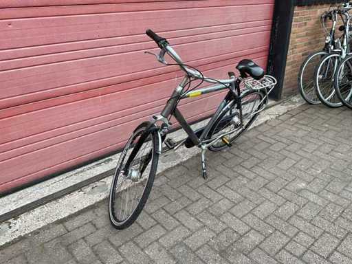 Raleigh Priority Herrenrad