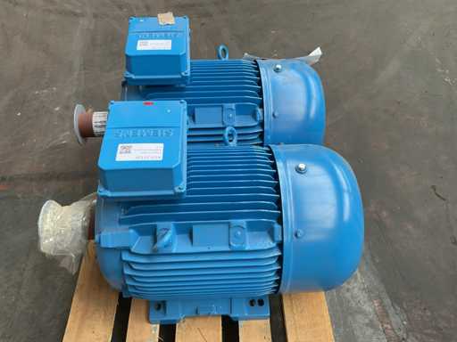 Motor eléctrico Siemens 2020 (2x)