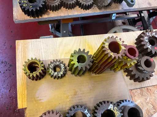 Various sizes of Pinions