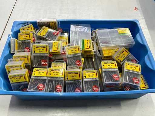 Rotadrill Assorti diverse schroeven RVS en verzinkt (100x)