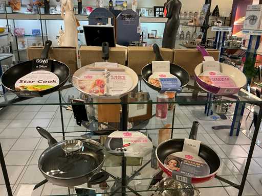 Ssw/Gsw Diverse pannen (6x)