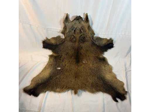 Wildzwijnenvacht