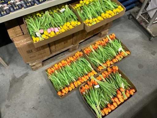 Partia różnych kiści Tullips 7/bun 39cm (60x)
