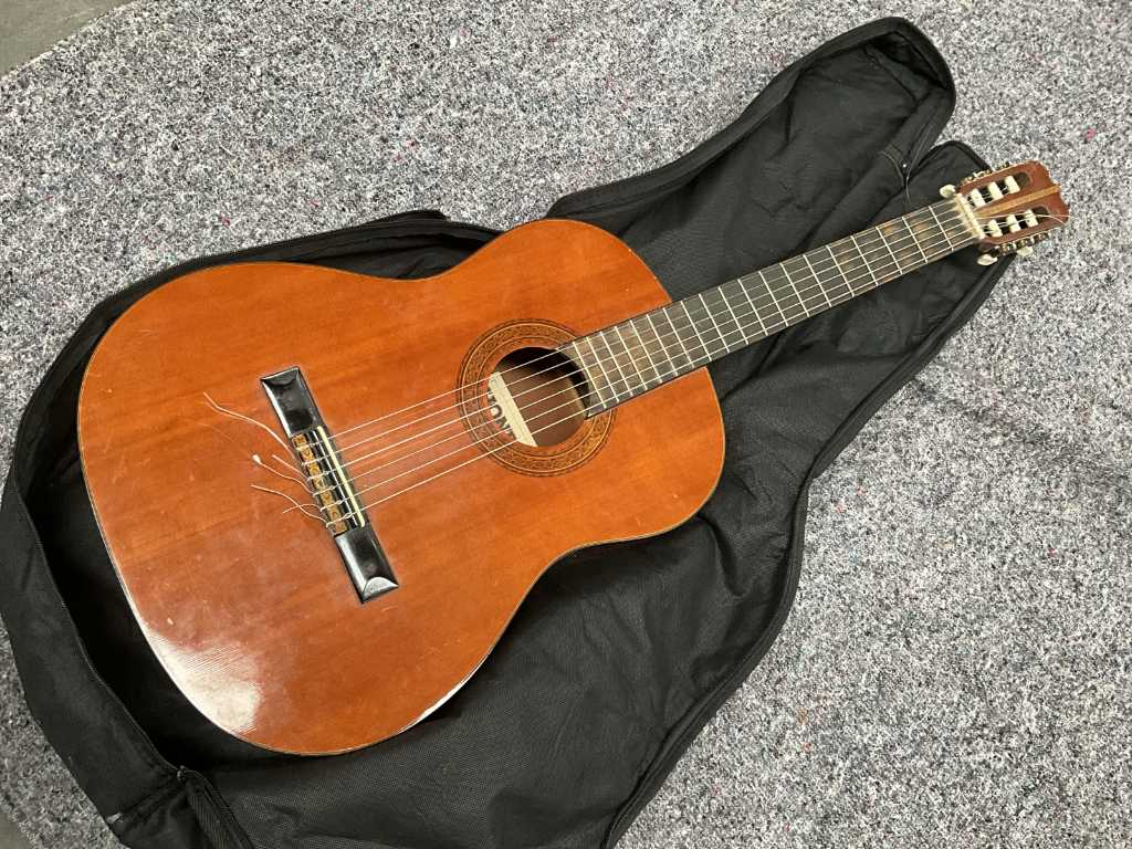HONDO H31OA Acoustic Guitar