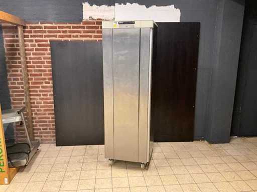 Gram F 410 RG Congélateur Mobile