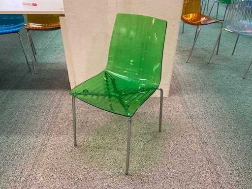 Papatya X-Treme Sitzungsvorsitzende (59x)