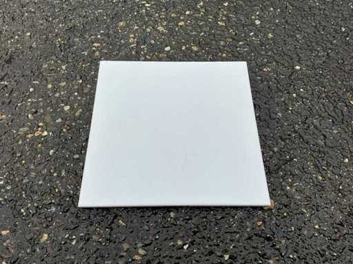 Azteca - 20x20 cm - 9 m2 - Wall tiles