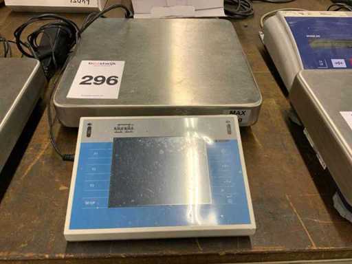 Radwag WPY 6/F1/R Échelle numérique