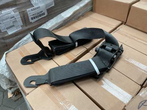 Webbing strap (10x)