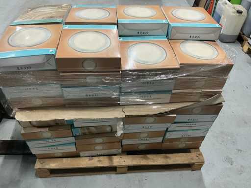 Eglo Plafonnieres (78x)