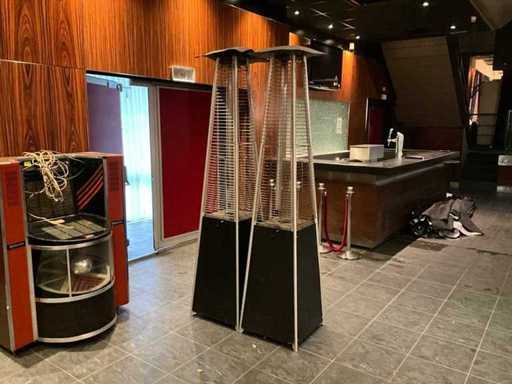 FH 1000 Terrassenheizungen (2x)