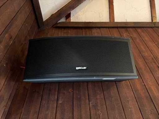 Ecler professionele wandluidspreker (2x)